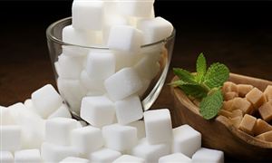 新能源制造业发展指导意见 2024新能源行业项目规模分析(图2) 新能源制造业发展指导意见 2024新能源行业项目规模分析(图2)