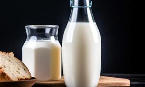 新能源制造业发展指导意见 2024新能源行业项目规模分析(图5) 新能源制造业发展指导意见 2024新能源行业项目规模分析(图5)