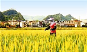 2024年中国清洁能源产业分析 中国清洁能源发展前景广阔(图6) 2024年中国清洁能源产业分析 中国清洁能源发展前景广阔(图6)