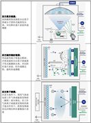 2024年中国汽车车辆市场现状及未来发展趋势分析(图7) 2024年中国汽车车辆市场现状及未来发展趋势分析(图7)