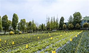 2024智慧能源行业未来发展趋势及前景预测(图5) 2024智慧能源行业未来发展趋势及前景预测(图5)