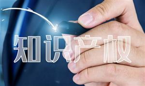 2024新能源项目市场投资环境及前景展望(图6) 2024新能源项目市场投资环境及前景展望(图6)