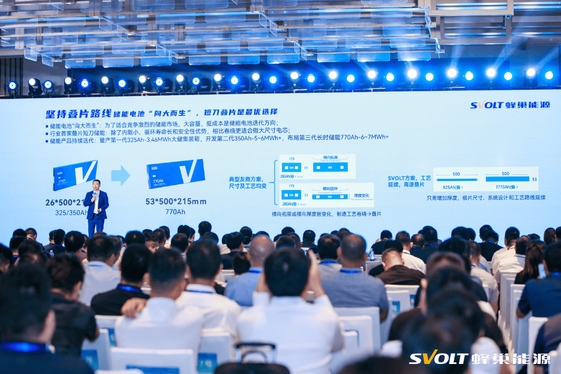 蜂巢能源杨红新：2024年底动力电池企业不超过40家 短刀布局渐成主流(图3)