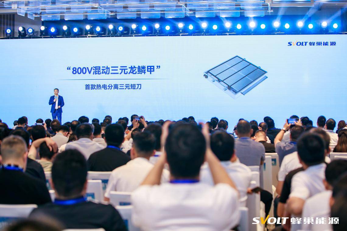 蜂巢能源杨红新：2024年底动力电池企业不超过40家 短刀布局渐成主流(图4)